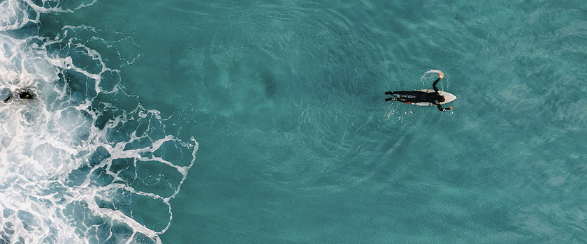 Hedge fund strategies show resilience amid market volatility